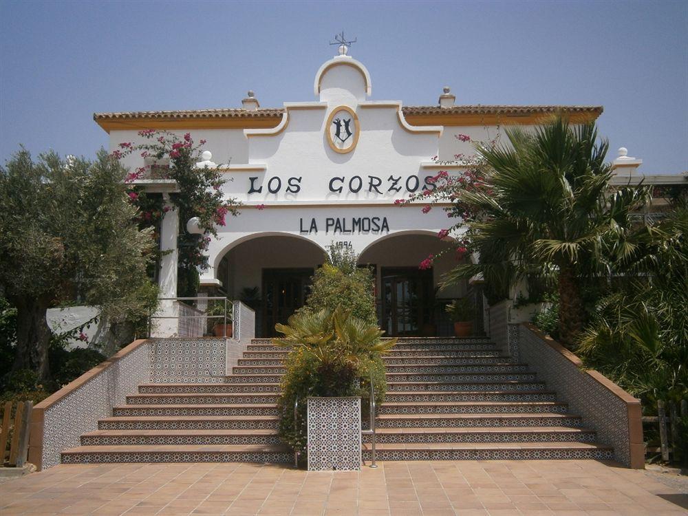 Hotel La Palmosa Alcalá de los Gazules Exterior foto